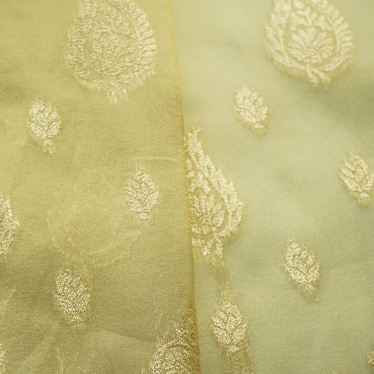 Gold Zari Paisley Border Work Tissue Organza Fabric