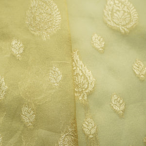 Gold Zari Paisley Border Work Tissue Organza Fabric