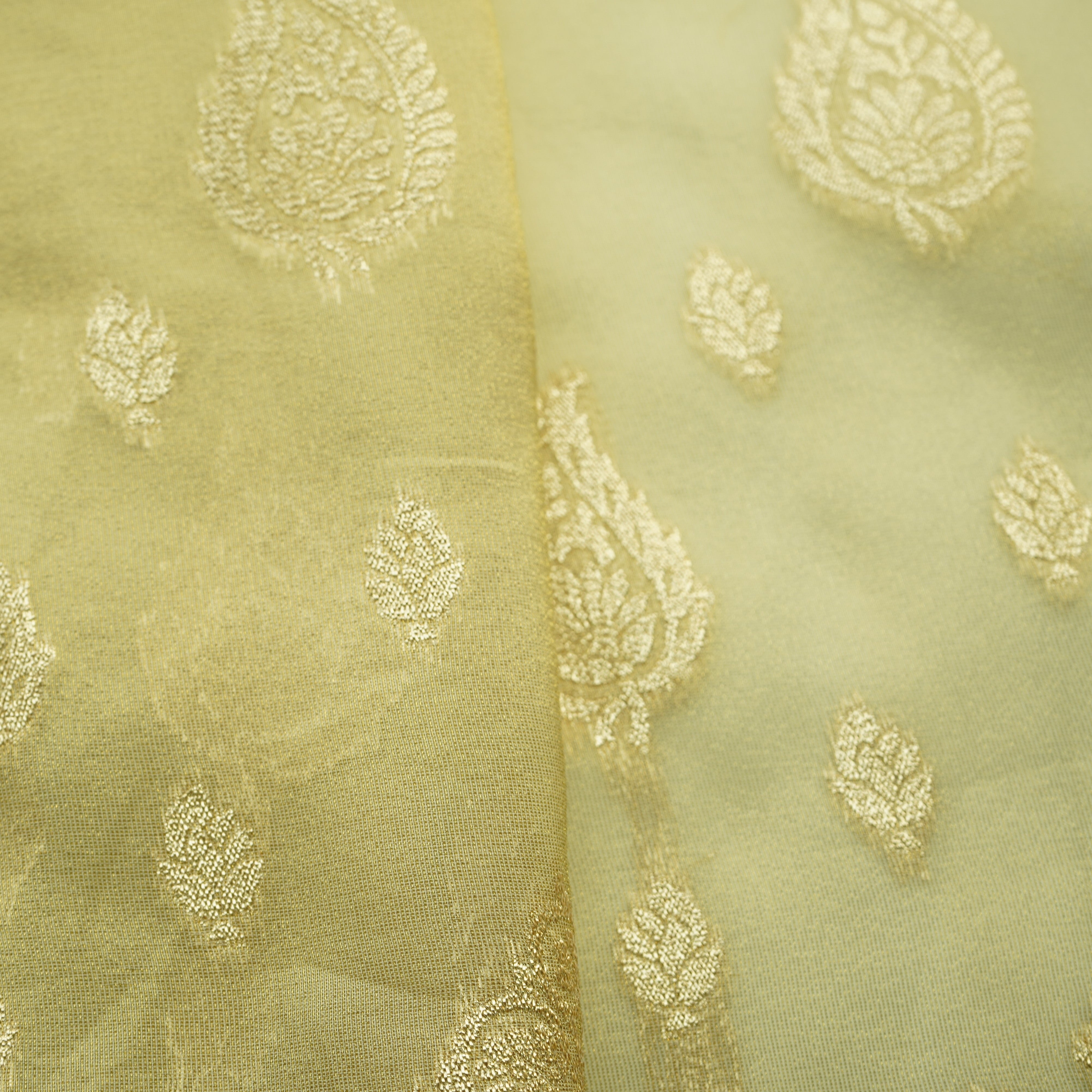 Gold Zari Paisley Border Work Tissue Organza Fabric