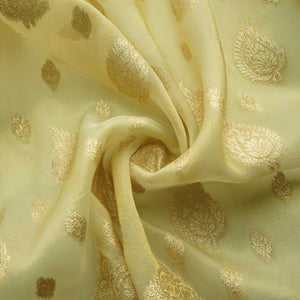 Gold Zari Paisley Border Work Tissue Organza Fabric