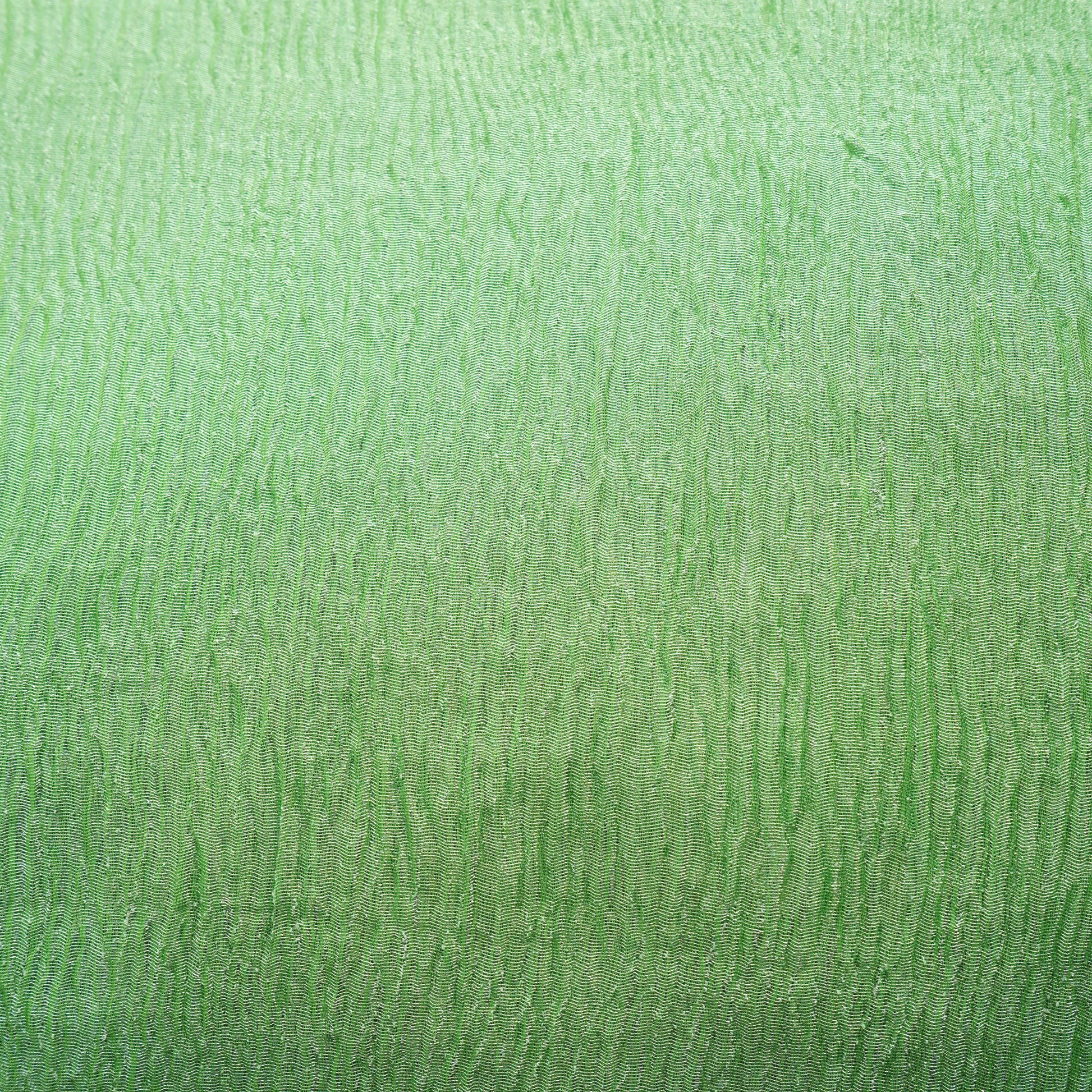 Green Solid Crushed Tissue Fabric