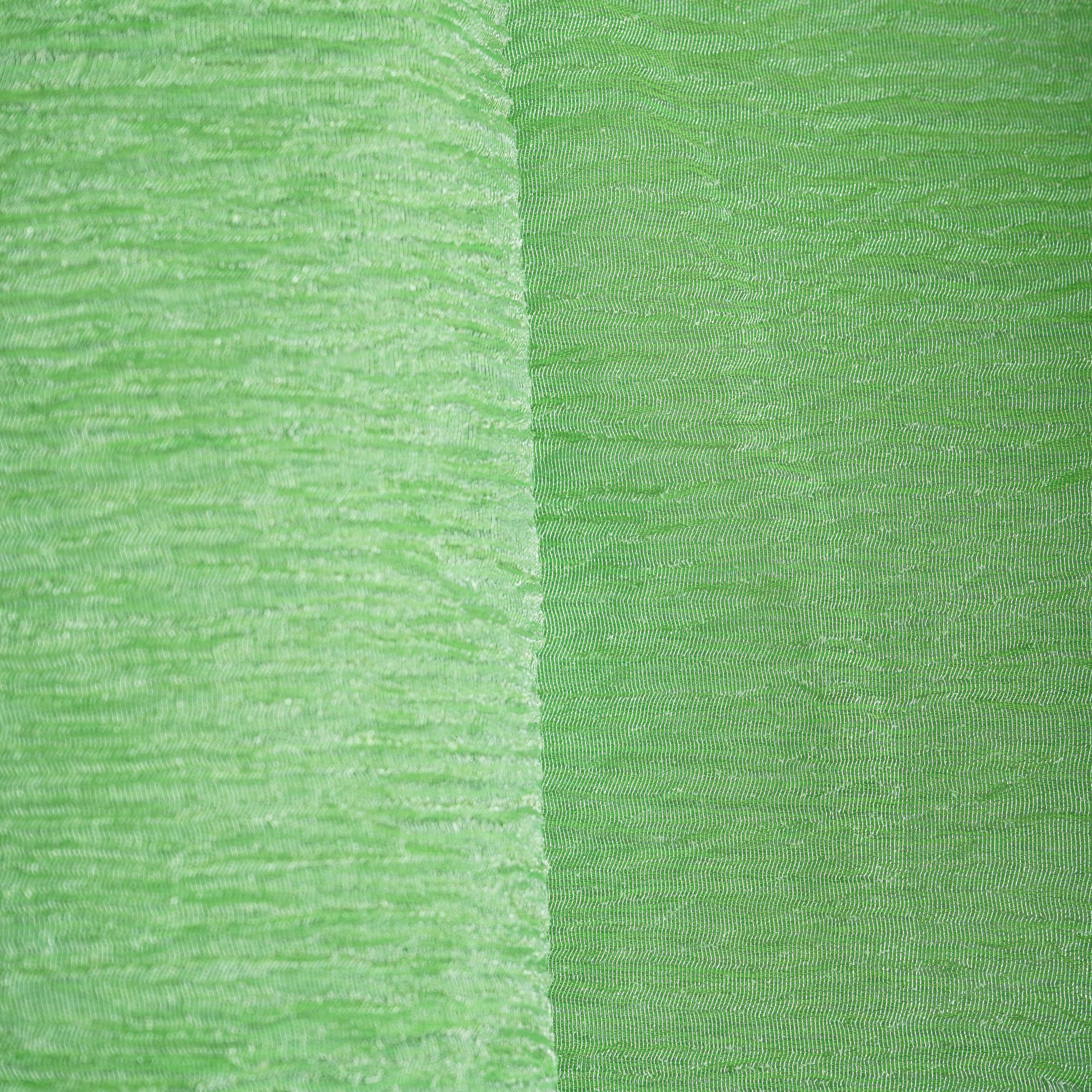 Green Solid Crushed Tissue Fabric