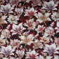 Dark Maroon with Light Pink Floral Print Cotton Mulmul Fabric PG-30476
