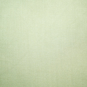 Olive Green Solid Pashmina Fabric