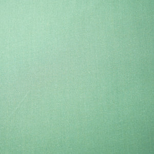 Sea Green Solid Pashmina Fabric