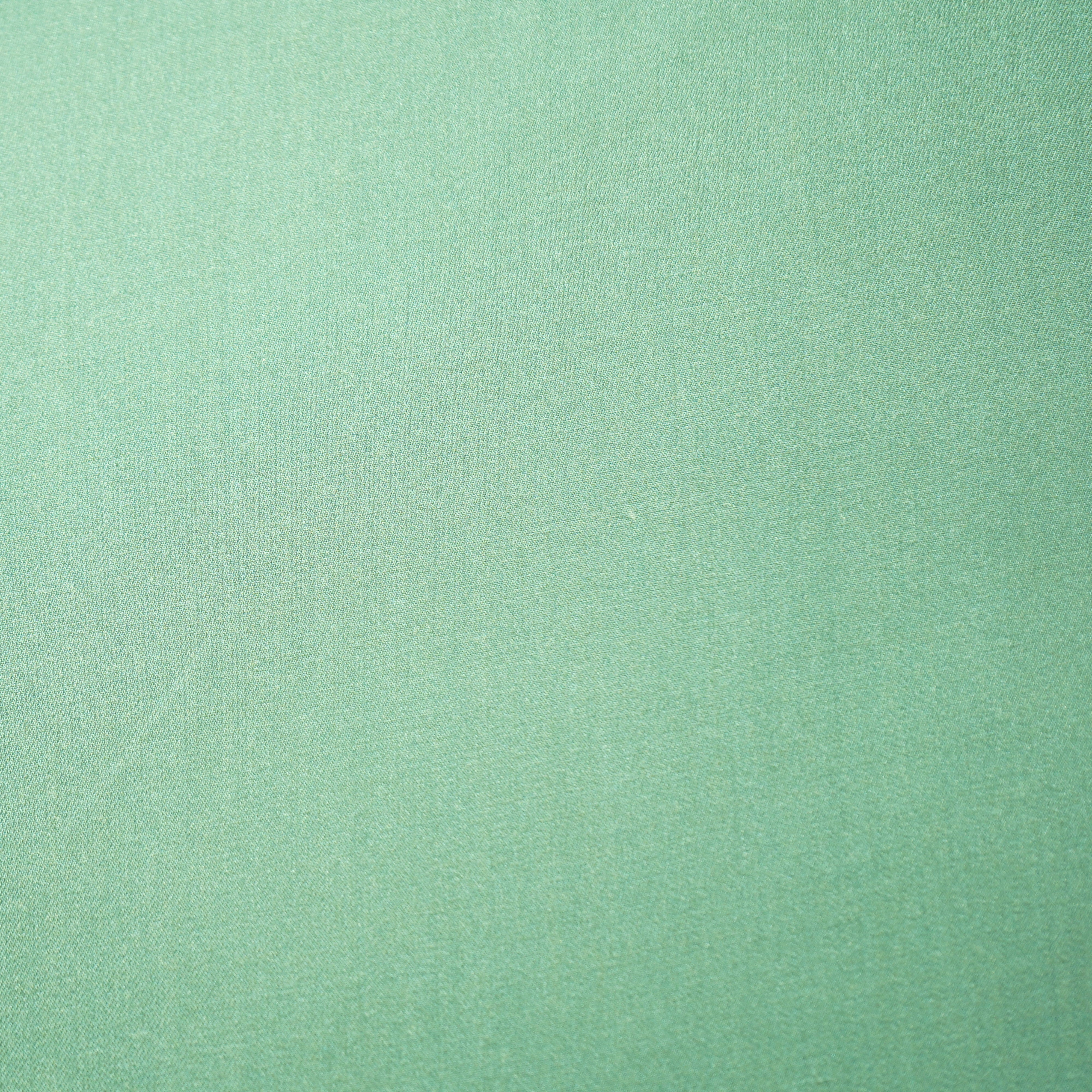 Sea Green Solid Pashmina Fabric