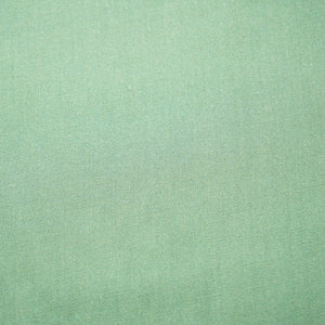 Sea Green Solid Pashmina Fabric