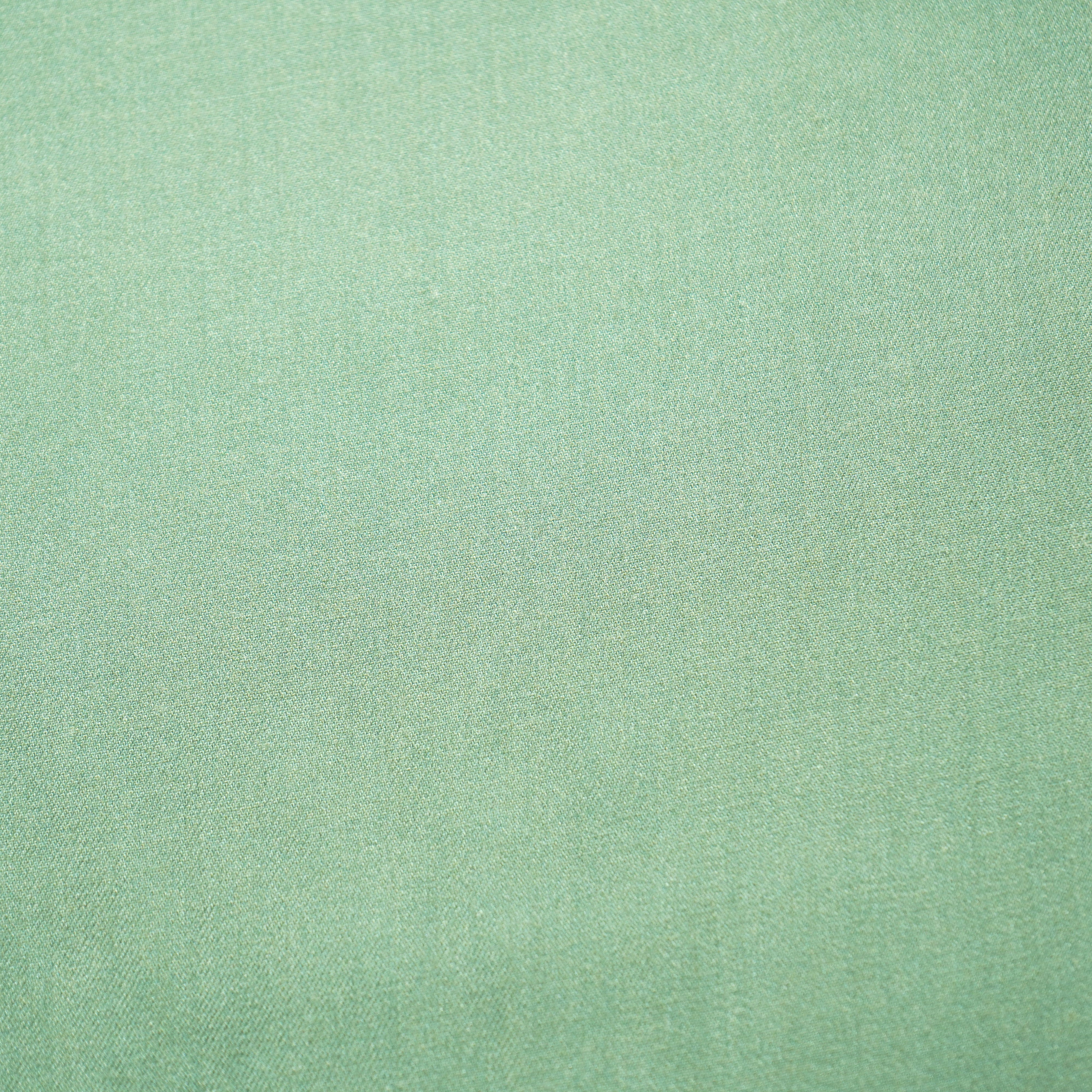 Sea Green Solid Pashmina Fabric