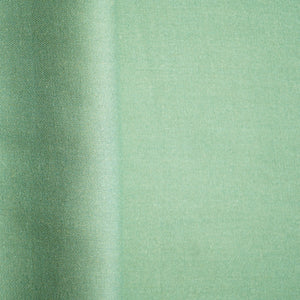 Sea Green Solid Pashmina Fabric