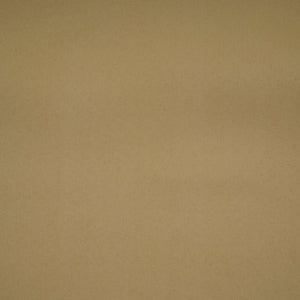 Light Beige Solid Butter Crepe Fabric STB-11 - TradeUNO