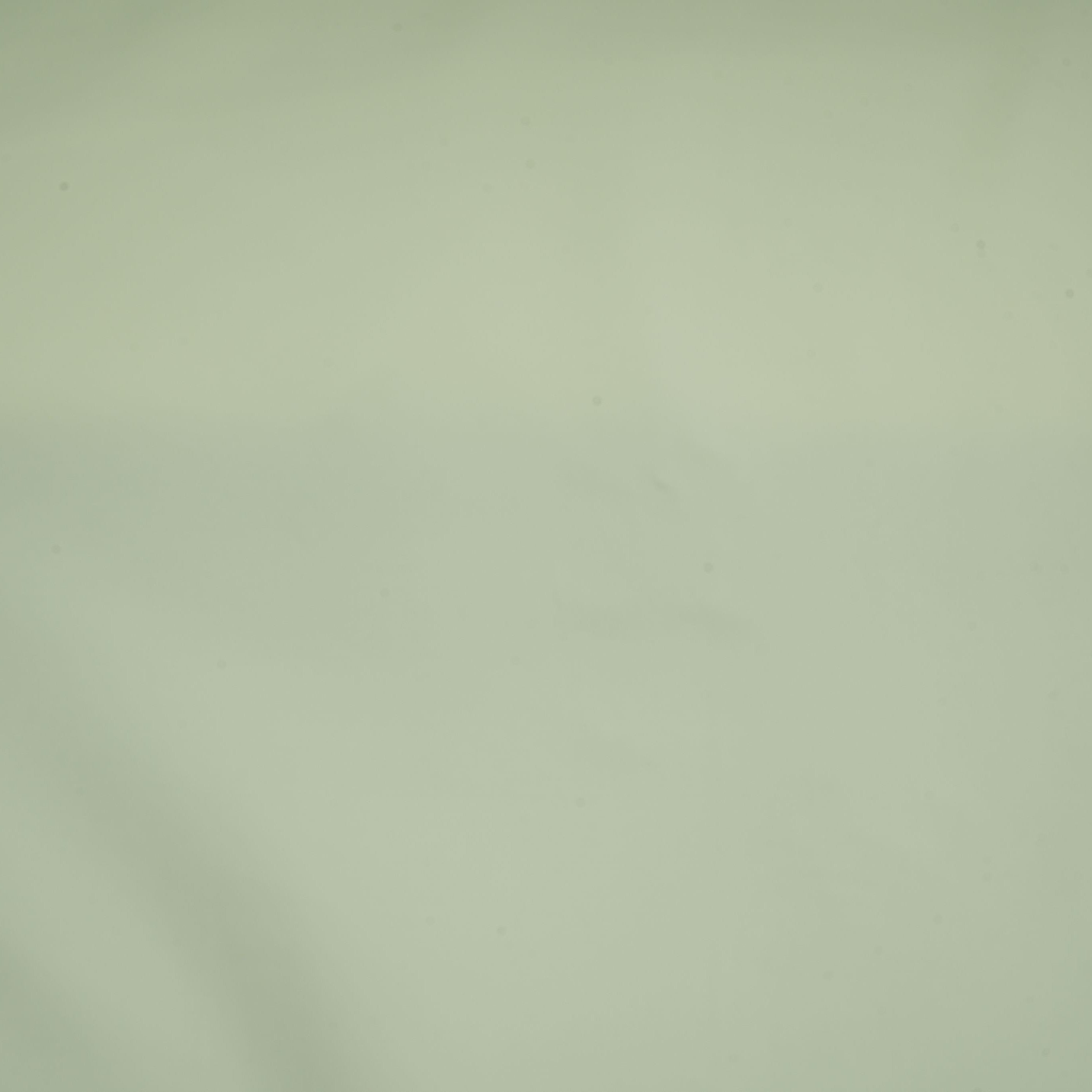 Cream Solid Butter Crepe Fabric STB-15 - TradeUNO