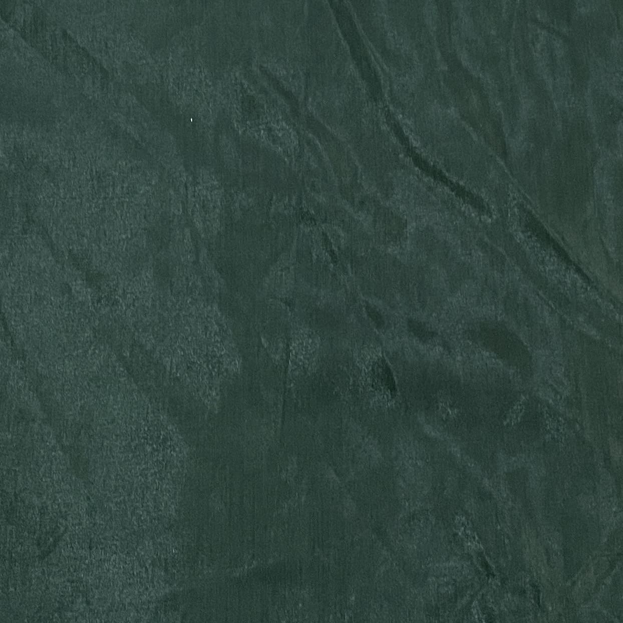 Crocodile Green Solid Shantoon Fabric