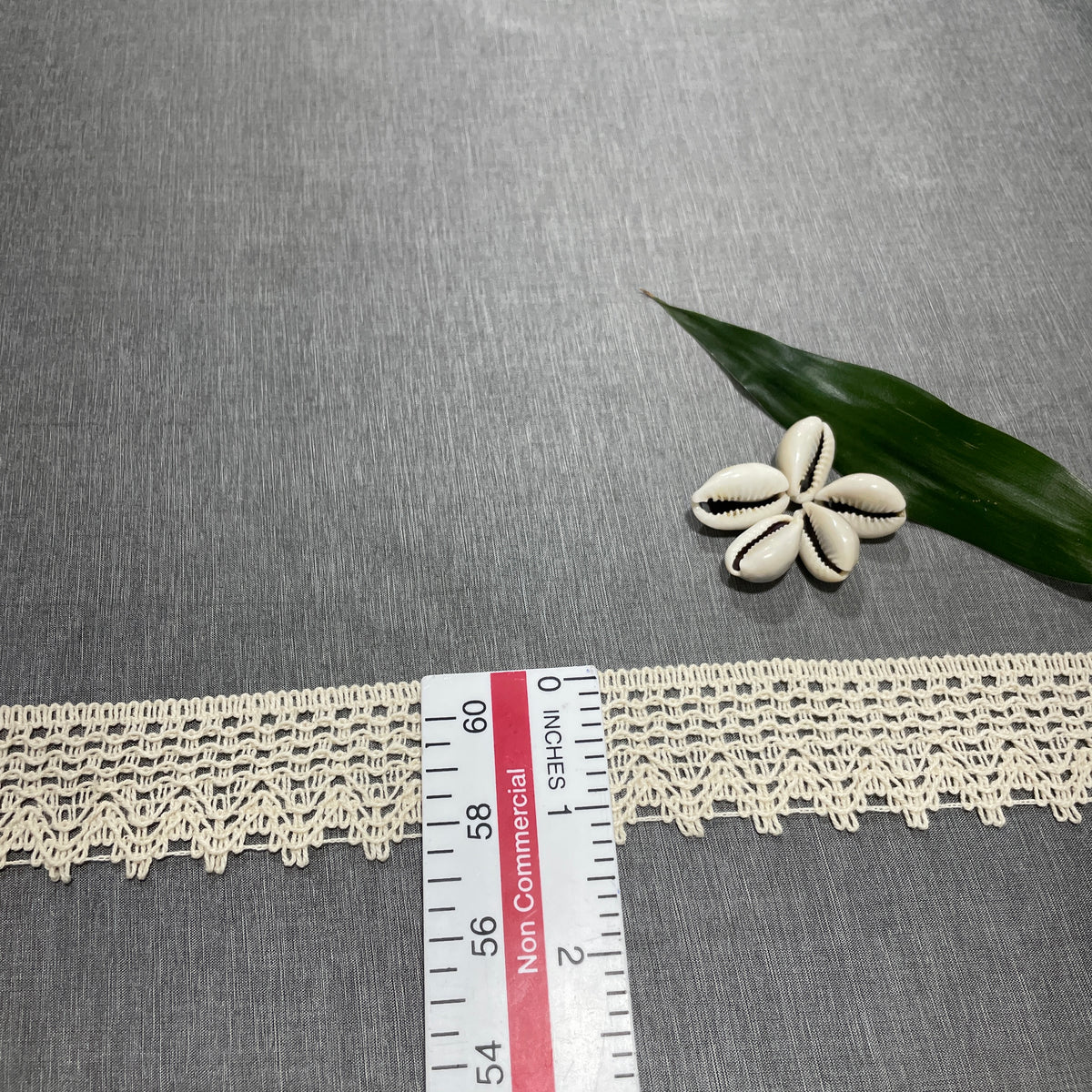 Off Cream Dyeable Cotton Lace PC-9224 - TradeUNO