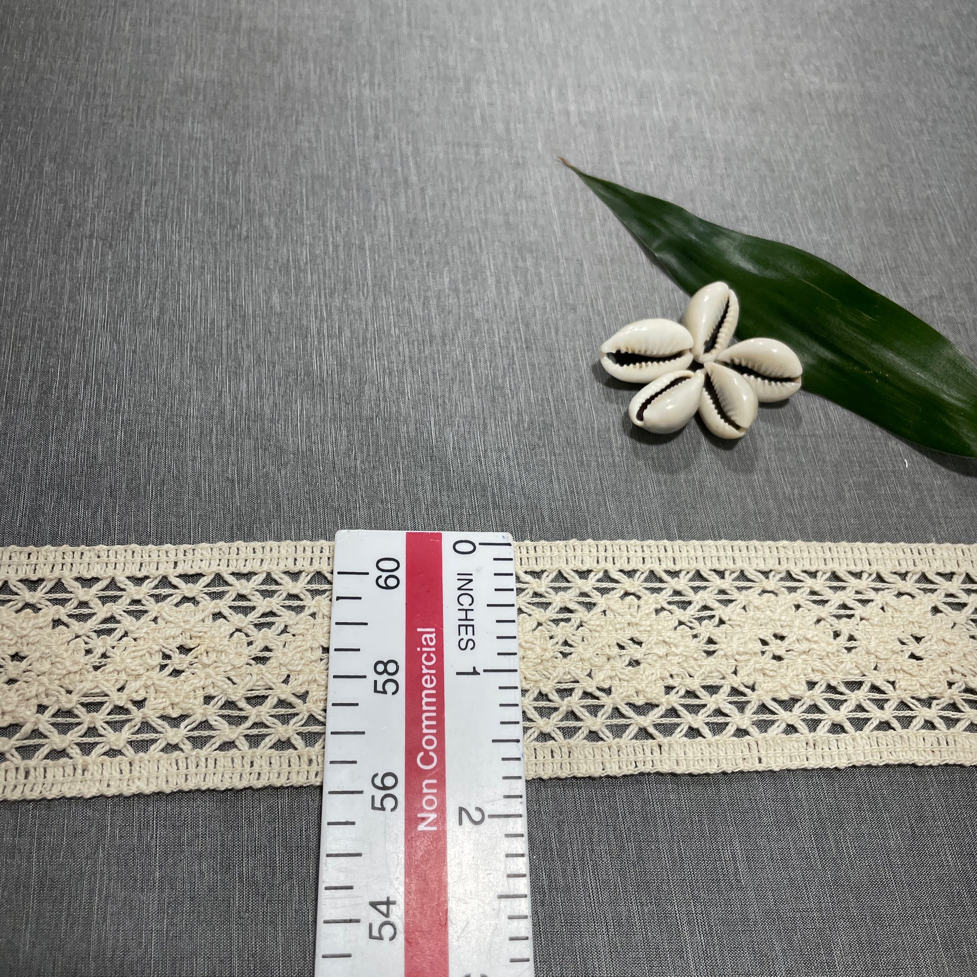 Off Cream Dyeable Cotton Lace - TradeUNO
