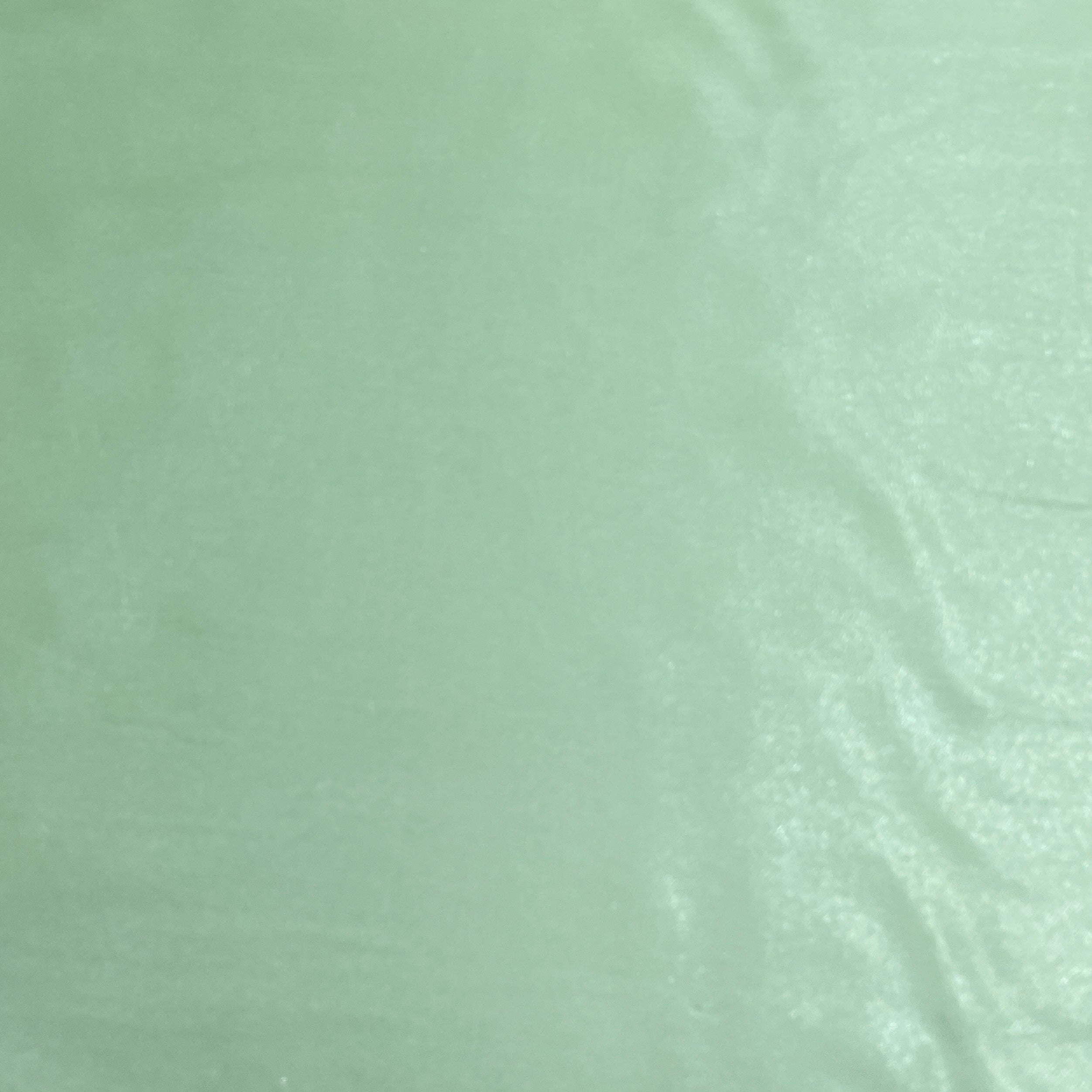 Mint Green Solid Silver Shimmer Georgrette Satin - TradeUNO