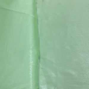 Mint Green Solid Silver Shimmer Georgrette Satin - TradeUNO