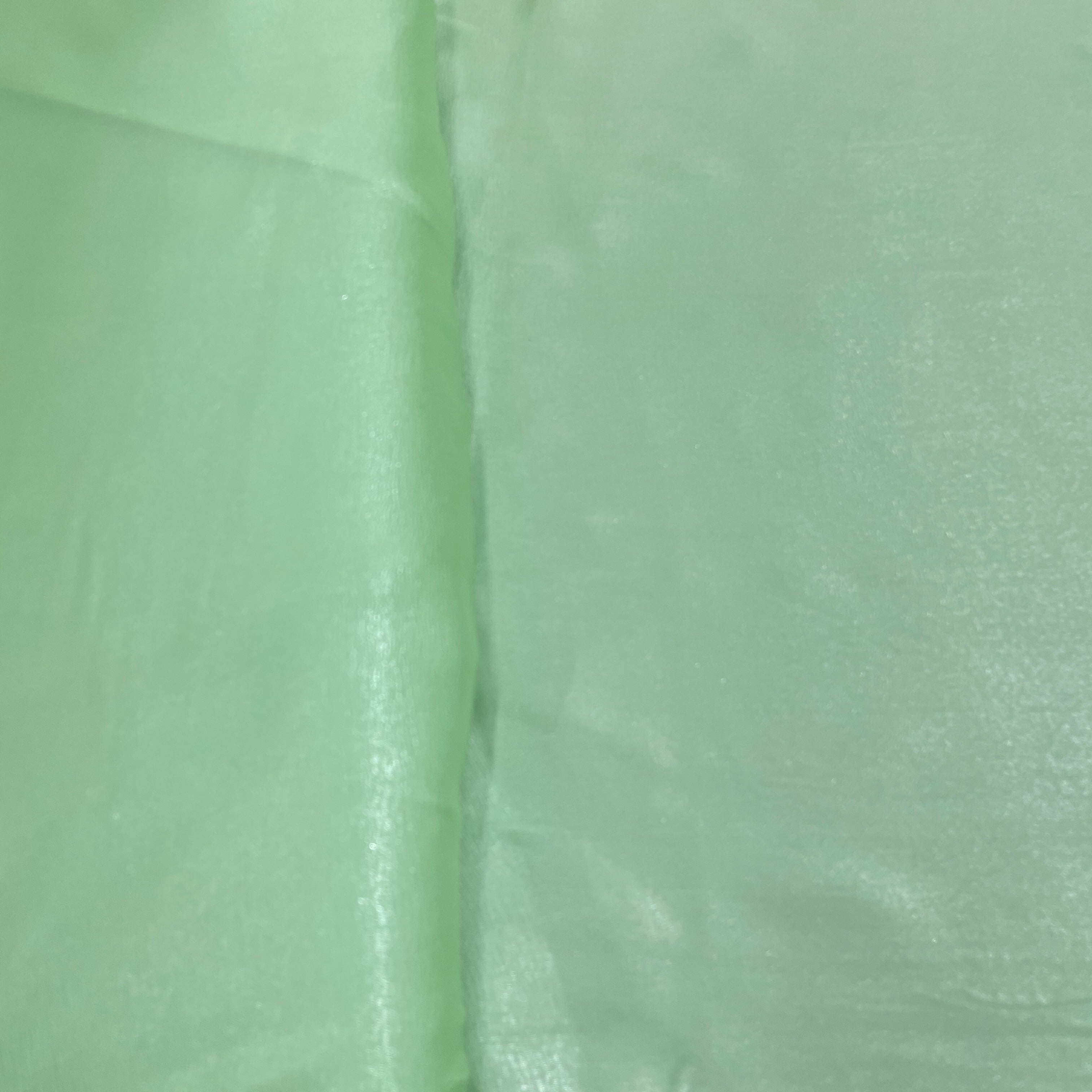 Mint Green Solid Silver Shimmer Georgrette Satin - TradeUNO