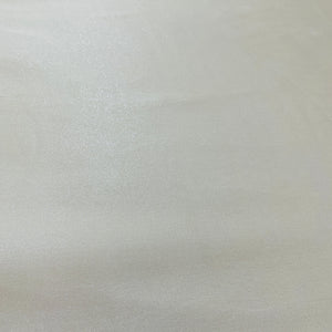 Cream Solid Silver Shimmer Georgrette Satin - TradeUNO