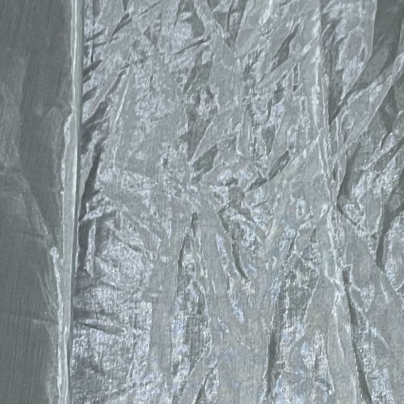 Grey Solid Shantoon Fabric