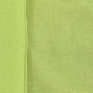 Classic Pear Green Solid Net Fabric
