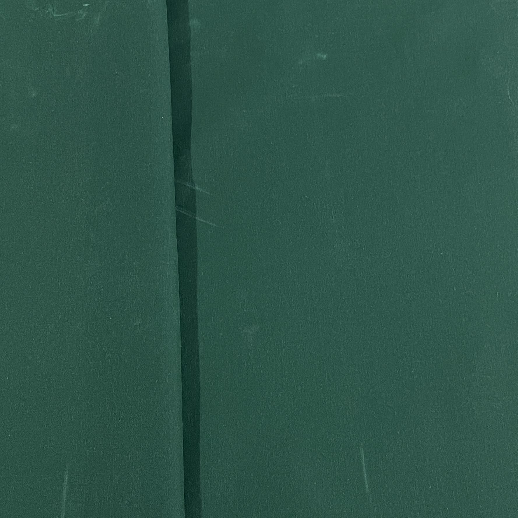 Classic  Green Solid Cotton Dyed Brushing Fabric