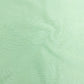 Exclusive Mint Green Solid Organza Fabric