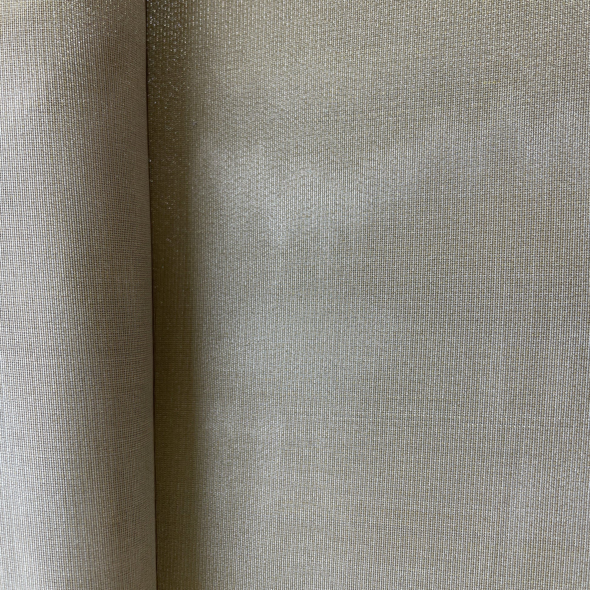 Cream Solid Plain Tissue Fabric 19668