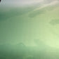 Exclusive Green Ombre Gucci Satin Fabric