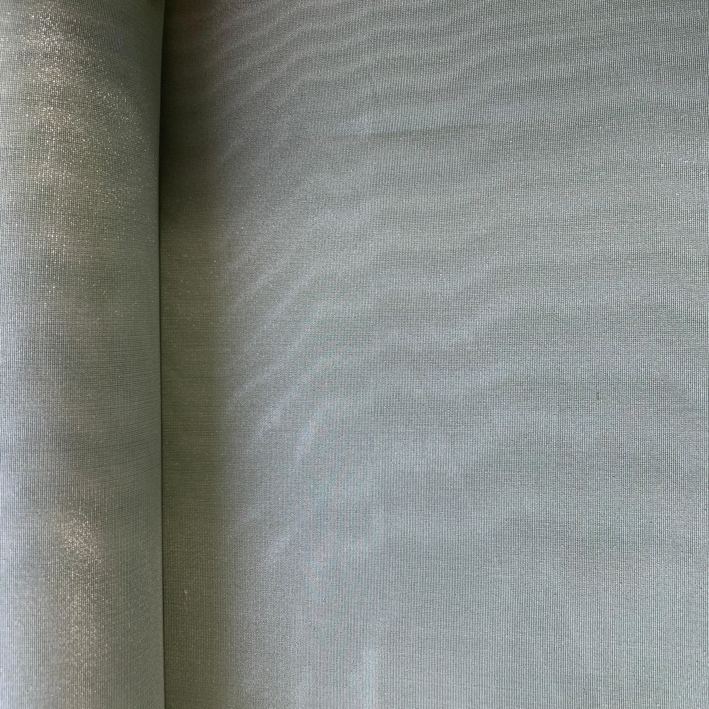 Pista Green Solid Plain Tissue Fabric 19679