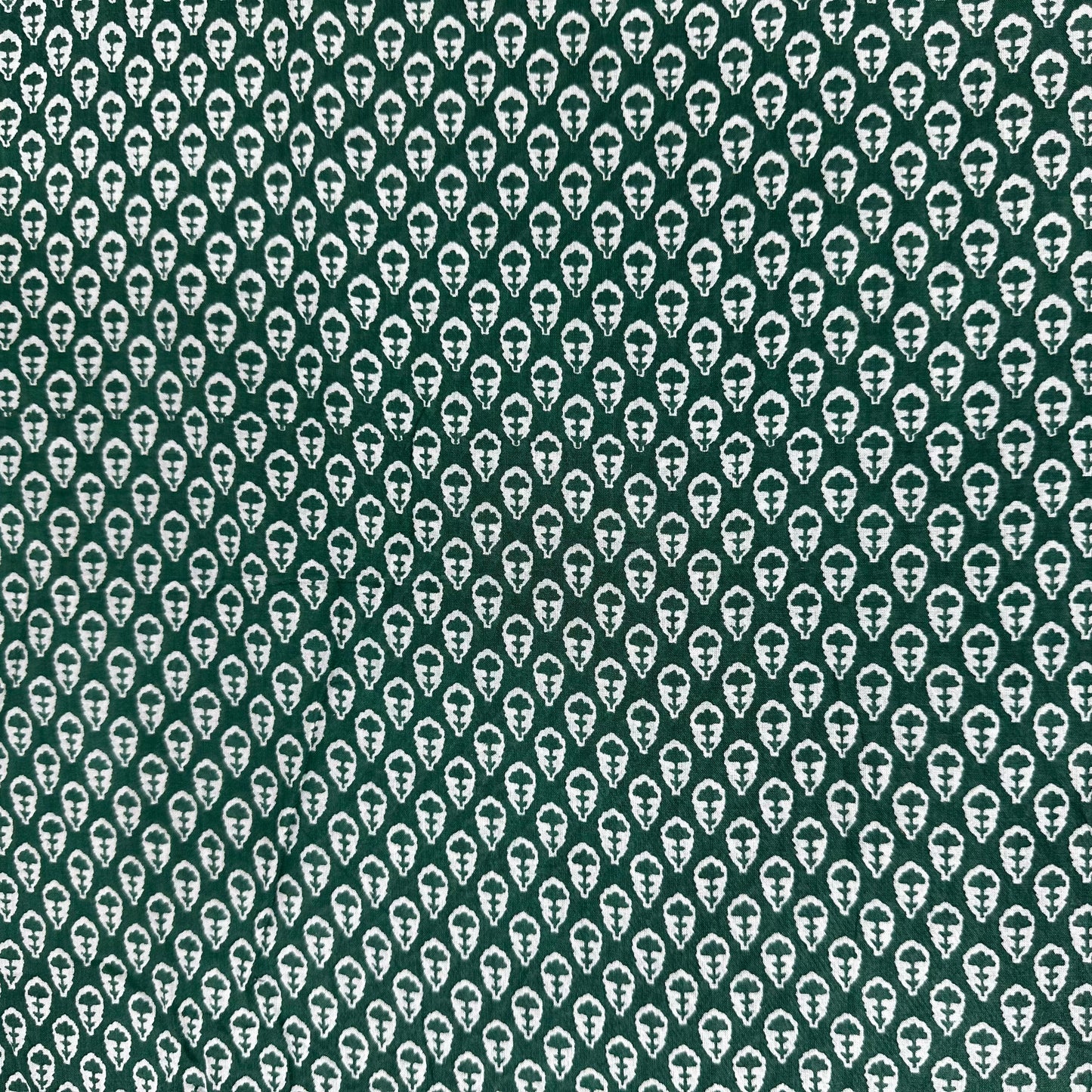 Green Bagru Print Cotton Fabric 24238