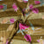 Mustard Floral Print Tusser Silk Fabric 20356
