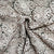Premium Brown 3D Abstract Floral Embroidery Schiffli Crepe Fabric