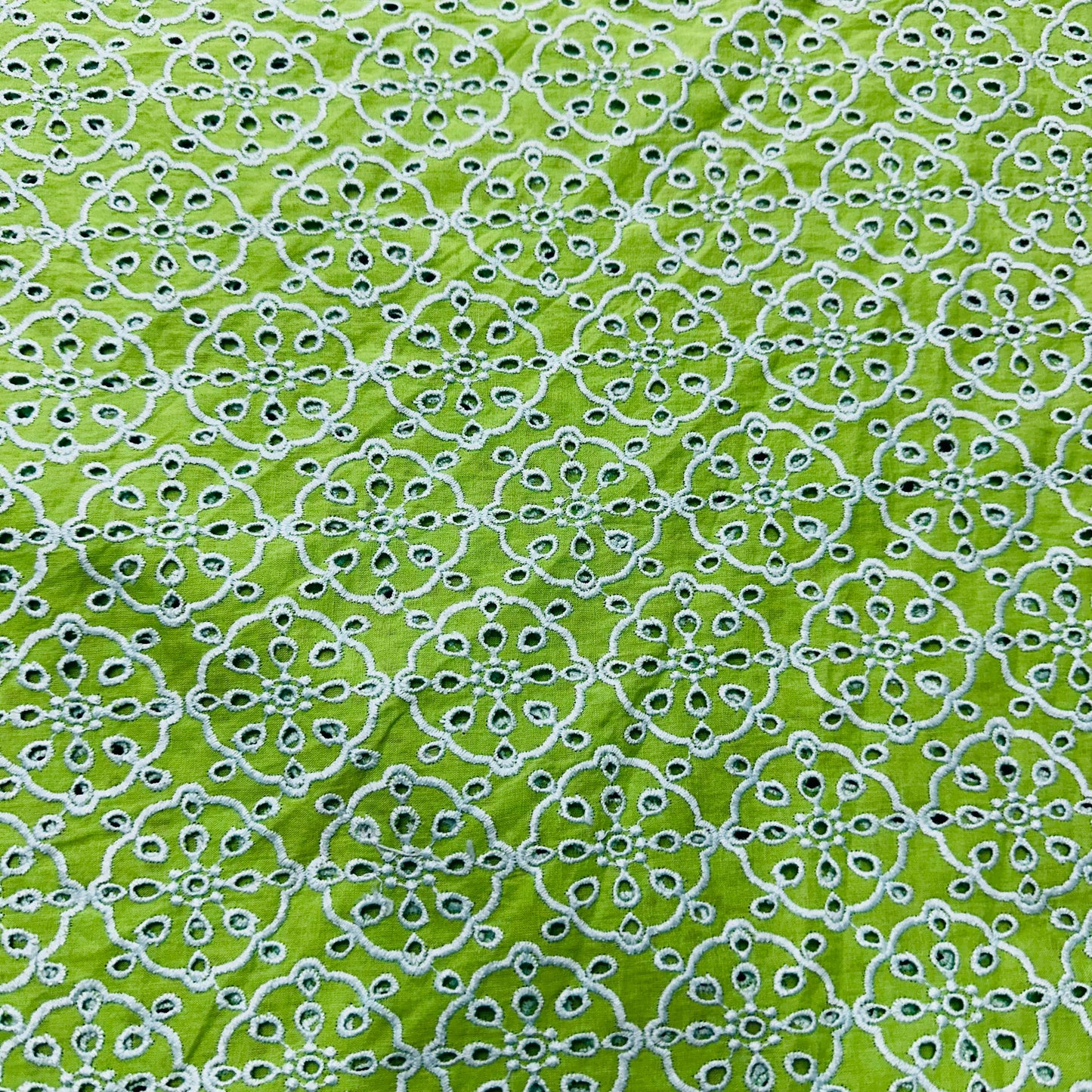 Light Green Schiffli Embroidery Cotton Fabric TU-6440