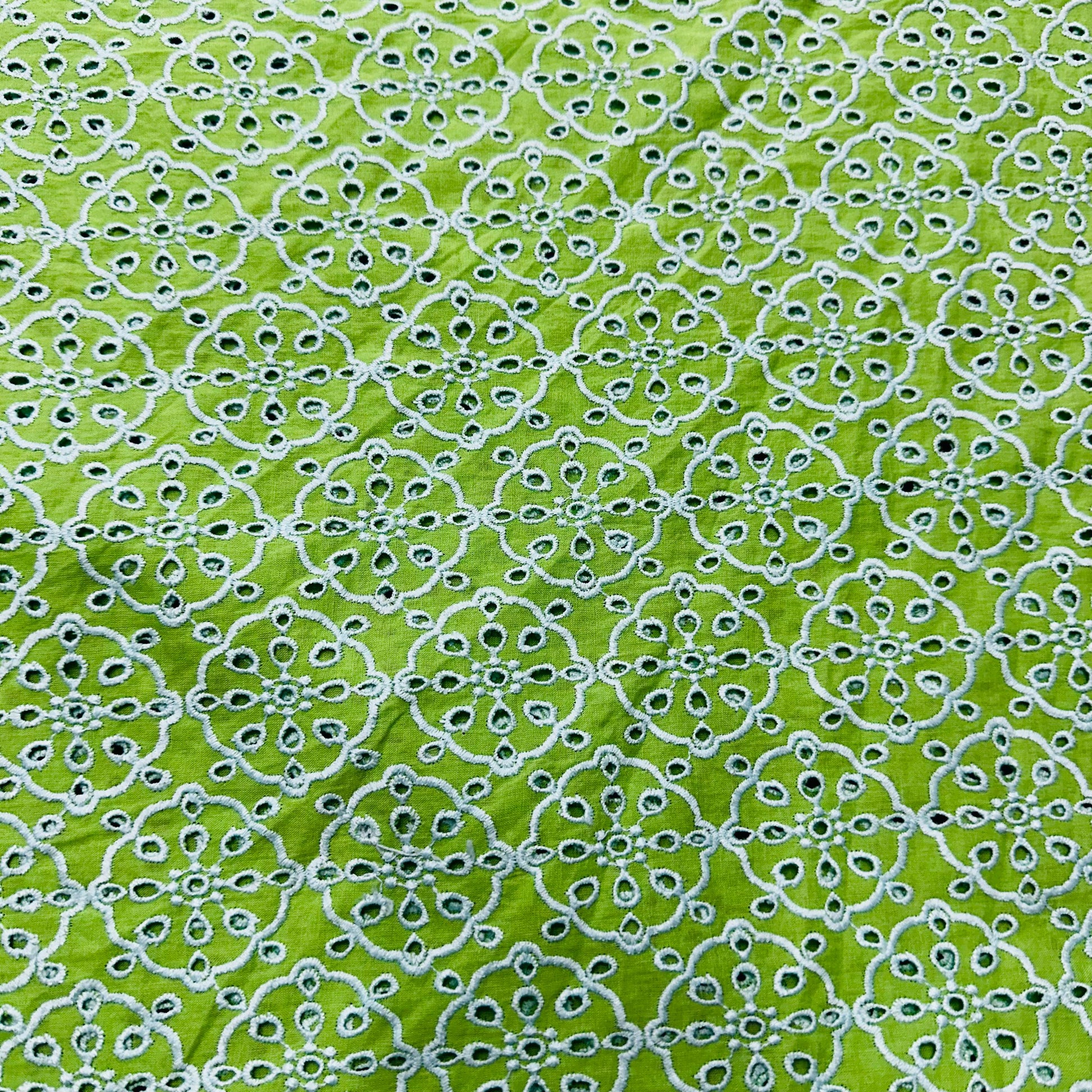 Light Green Schiffli Embroidery Cotton Fabric TU-6440