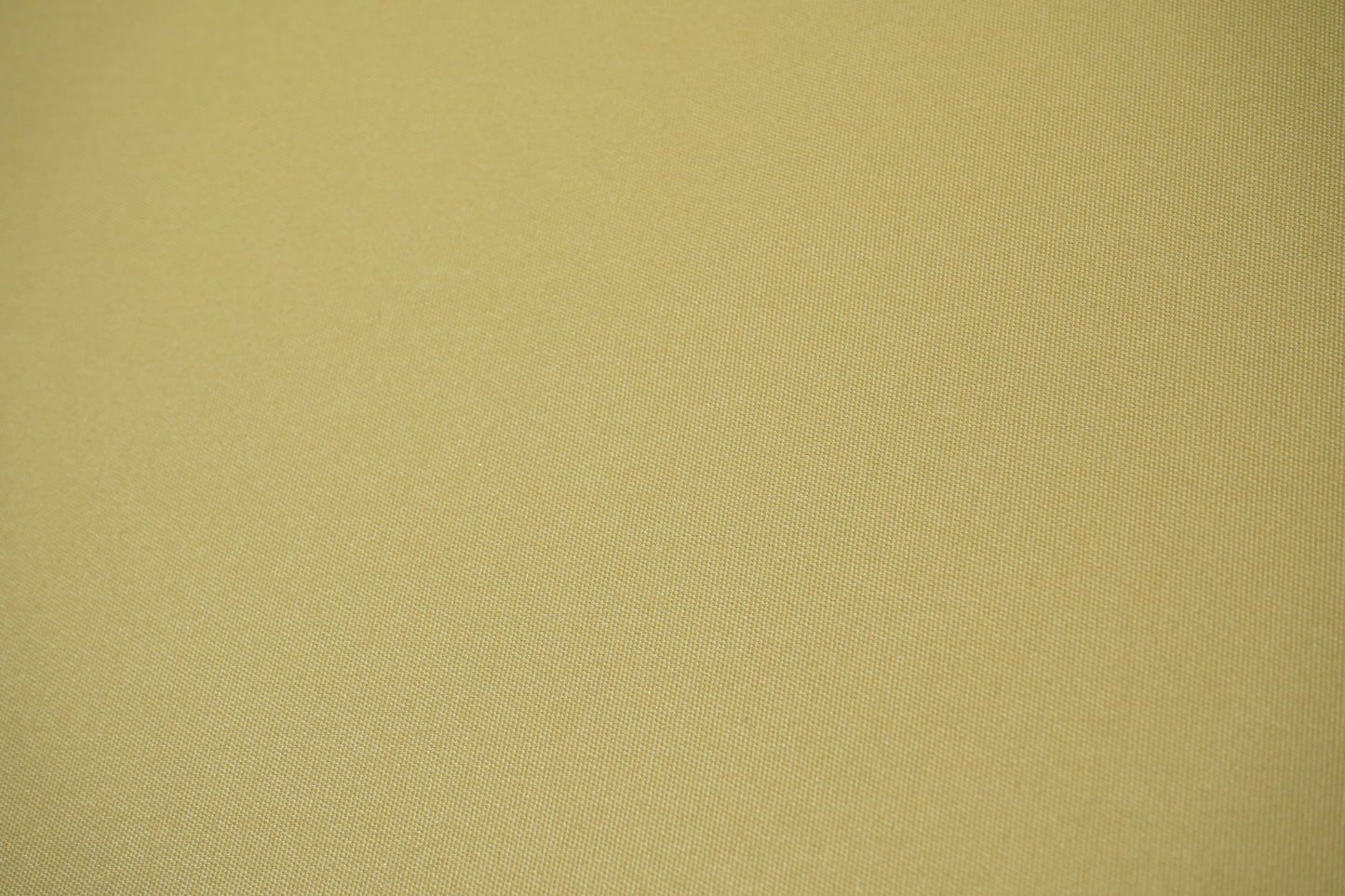 Camel Polyester XN3878