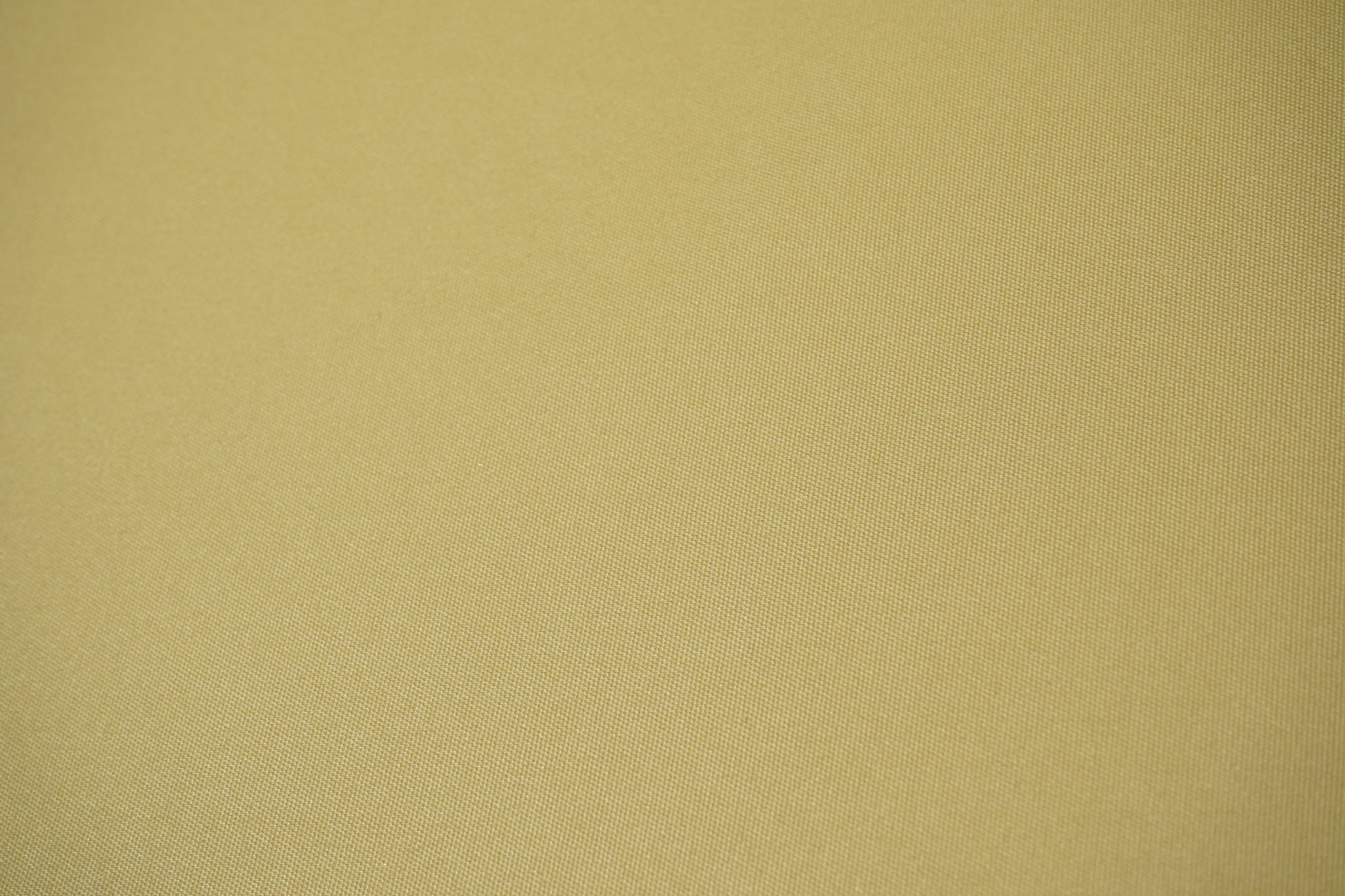 Camel Polyester XN3878