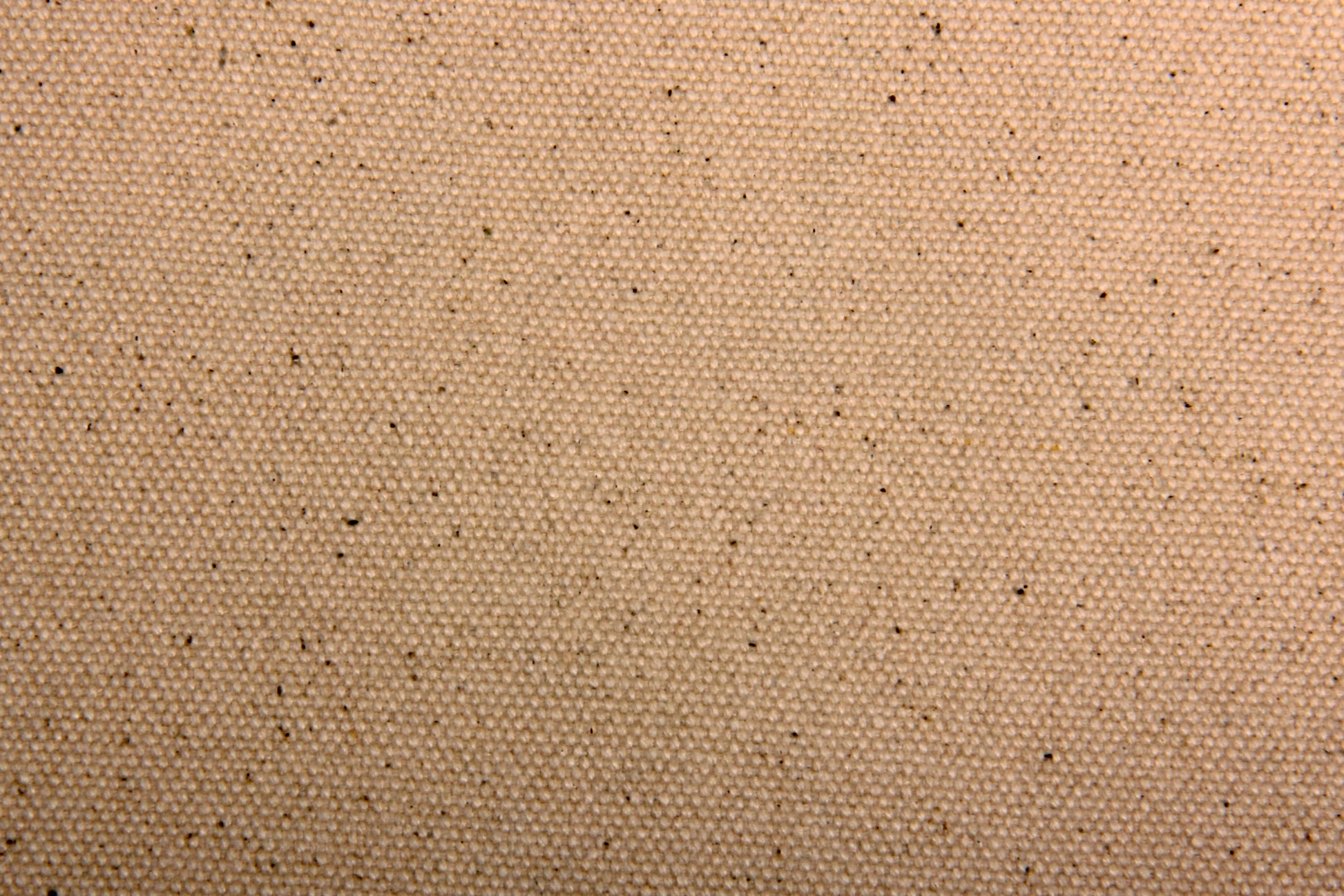 Cream Solid     Canvas Fabric - TradeUNO