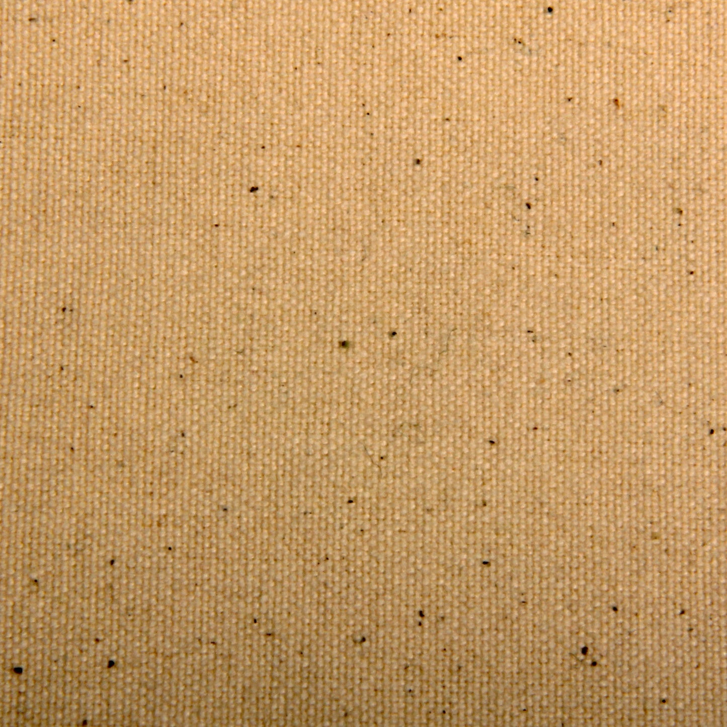 Cream Solid 2*14 Tussar Fabric