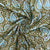 Green With Blue Paisley Print Cotton Fabric - TradeUNO