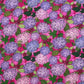 Multi Color Floral Print Viscose Fabric Trade UNO