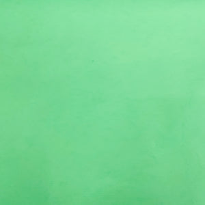 Mint Green Solid Net Fabric - TradeUNO