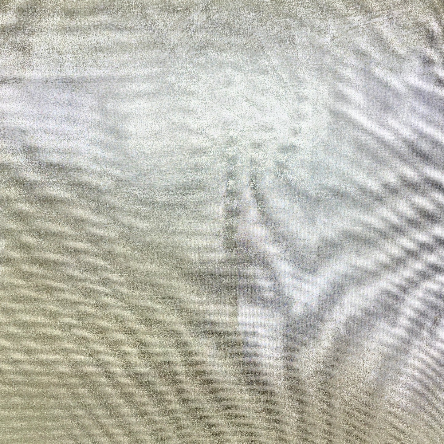 Grey Solid Foil Imported Knit Lycra Fabric - TradeUNO