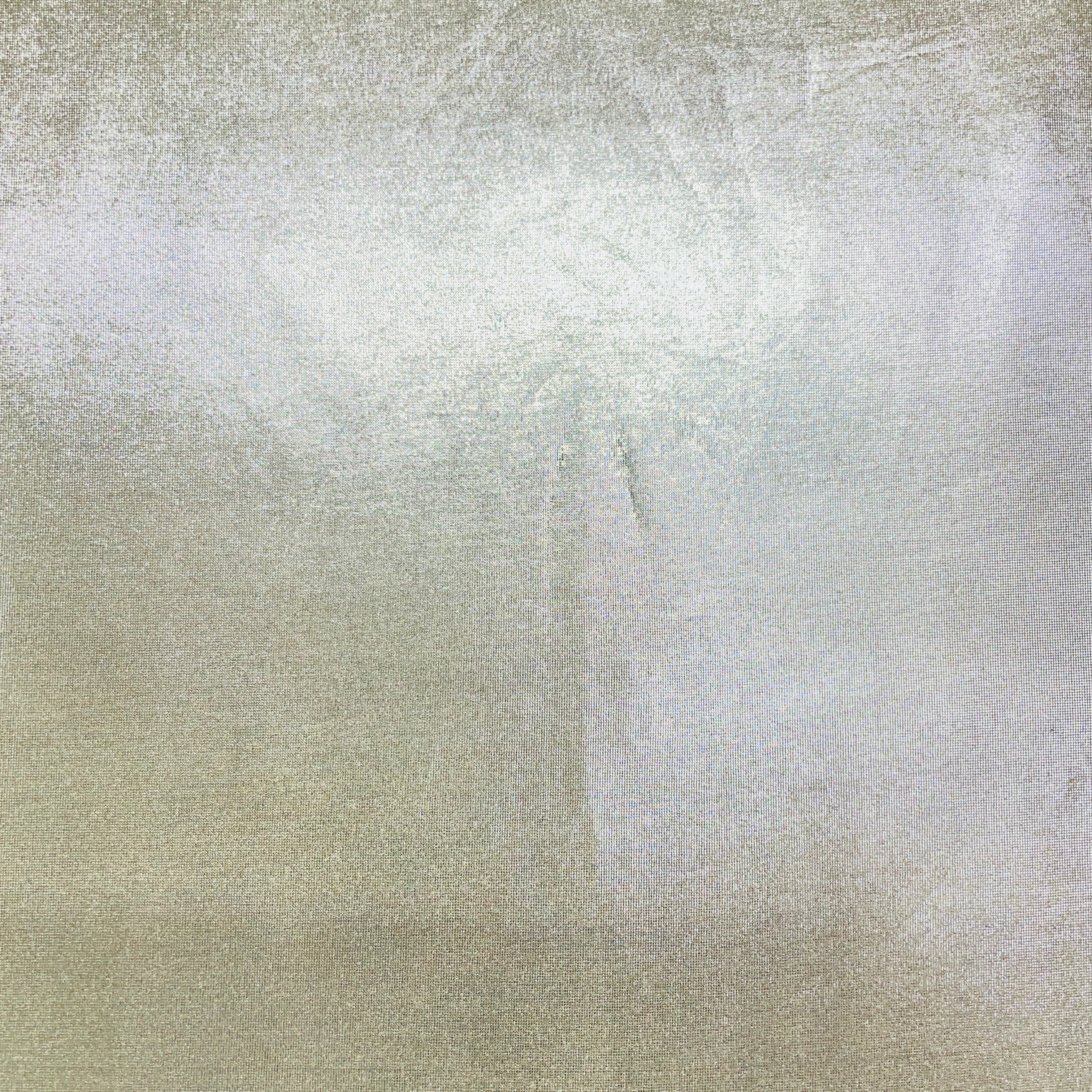 Grey Solid Foil Imported Knit Lycra Fabric - TradeUNO