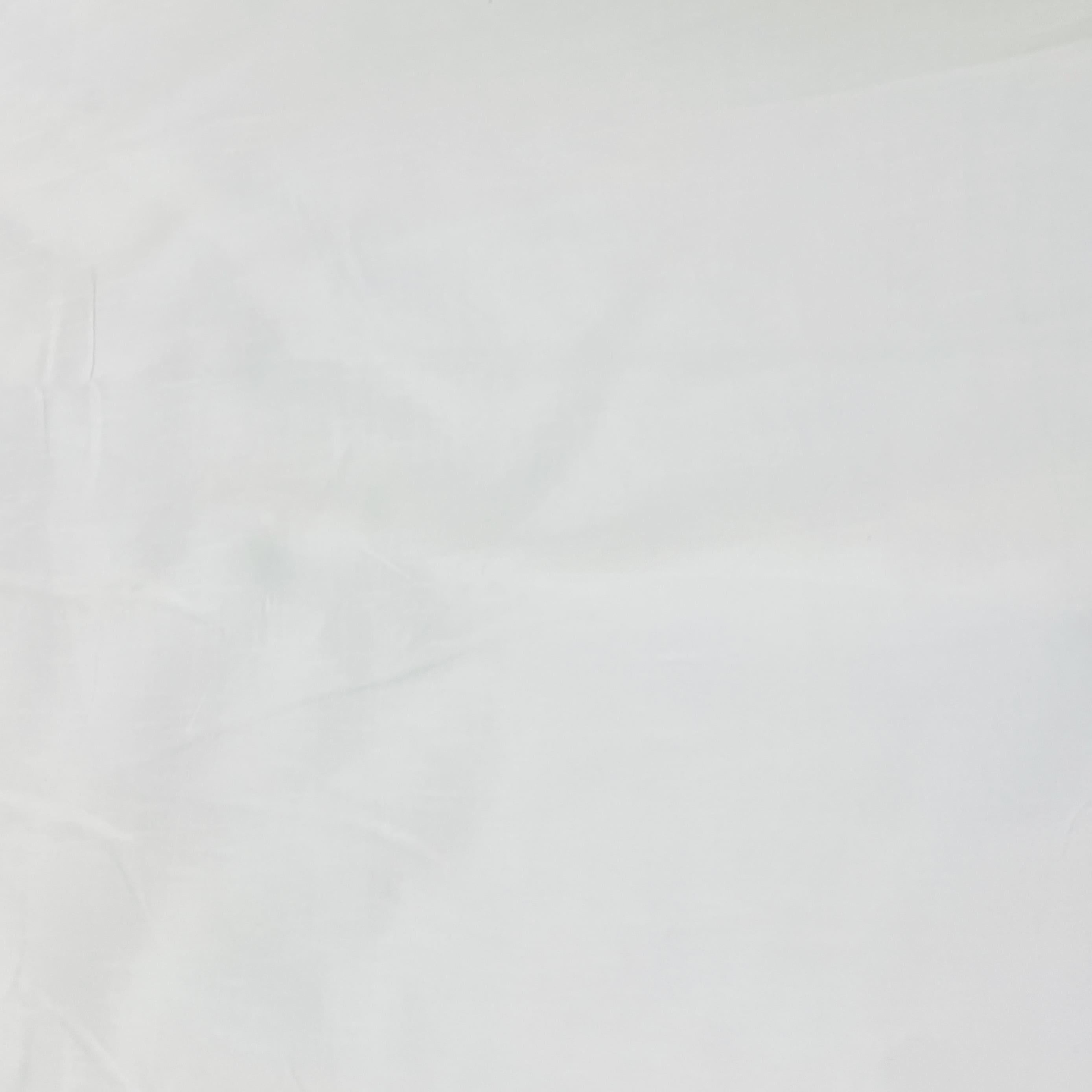 Premium White Solid Dyeable Raw Silk Fabric
