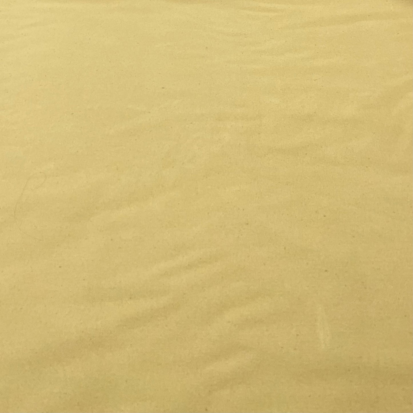Mustard solid Canvas Fabric