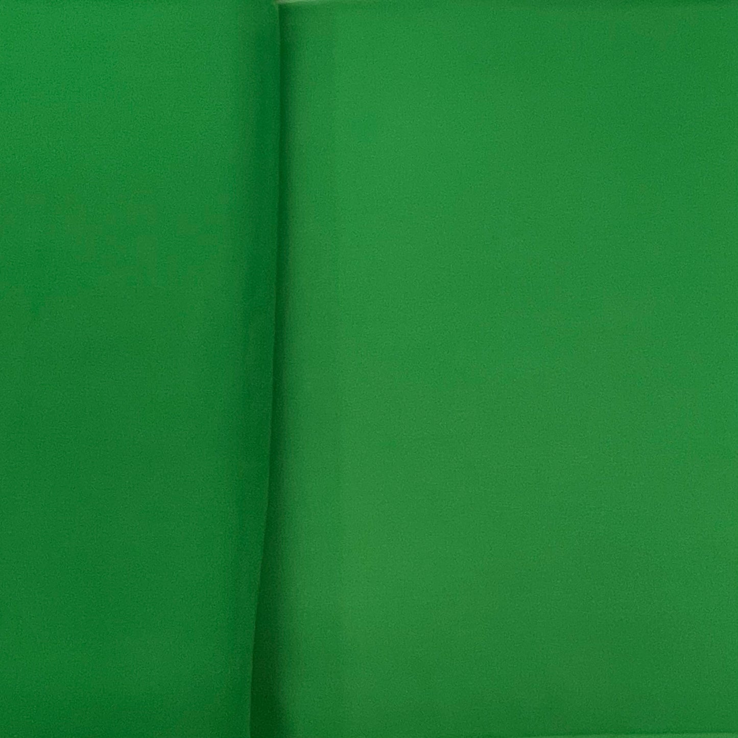 Green Solid Georgette Fabric - TradeUNO