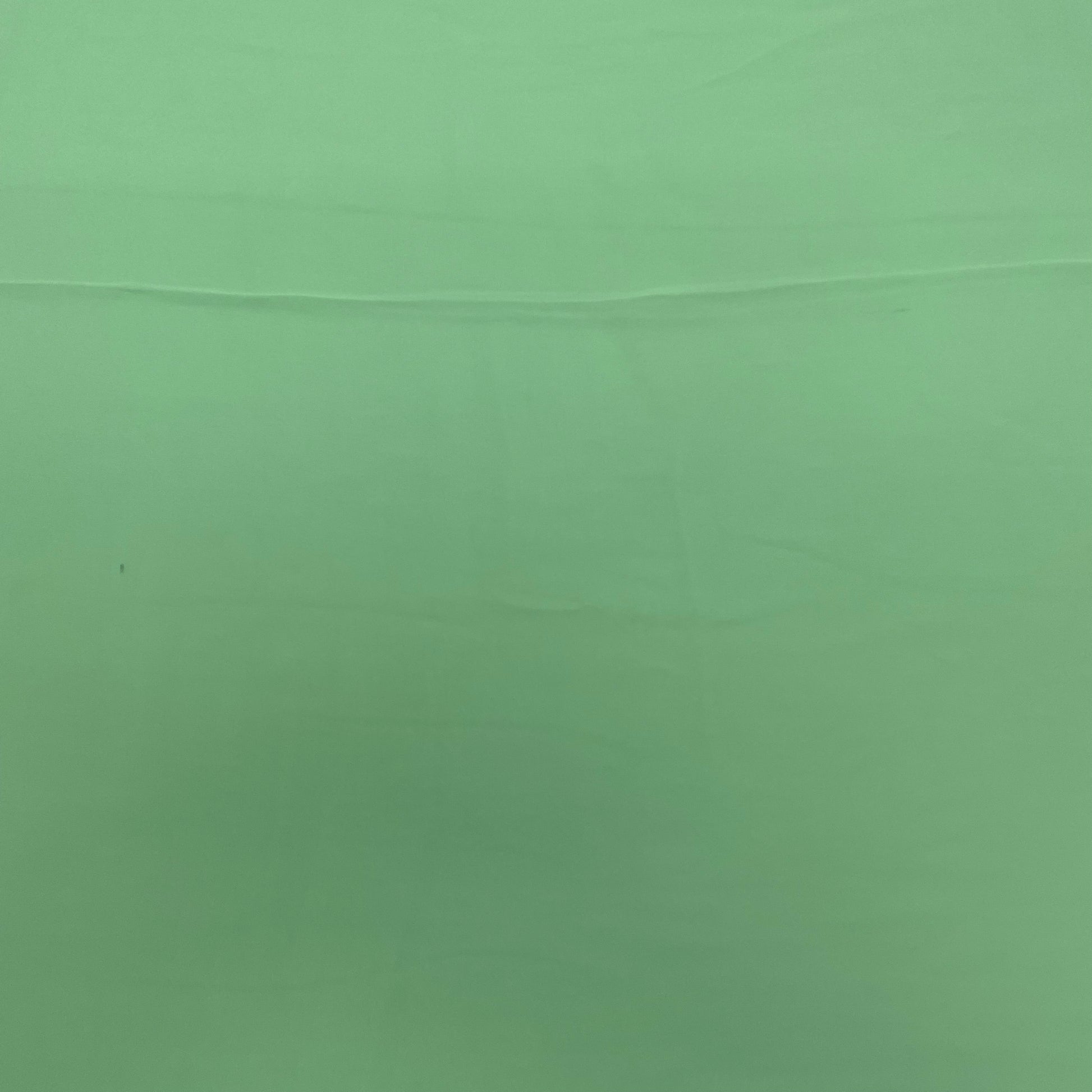 Light Green Solid Georgette Fabric - TradeUNO